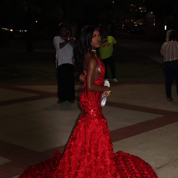 Prom Dress - Picture 4 of 5